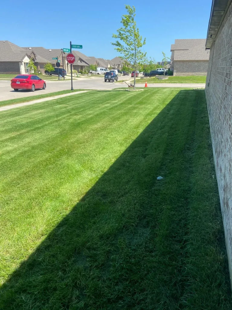 Hardscaping