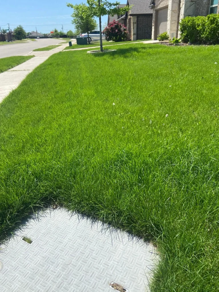 Outdoor lighting