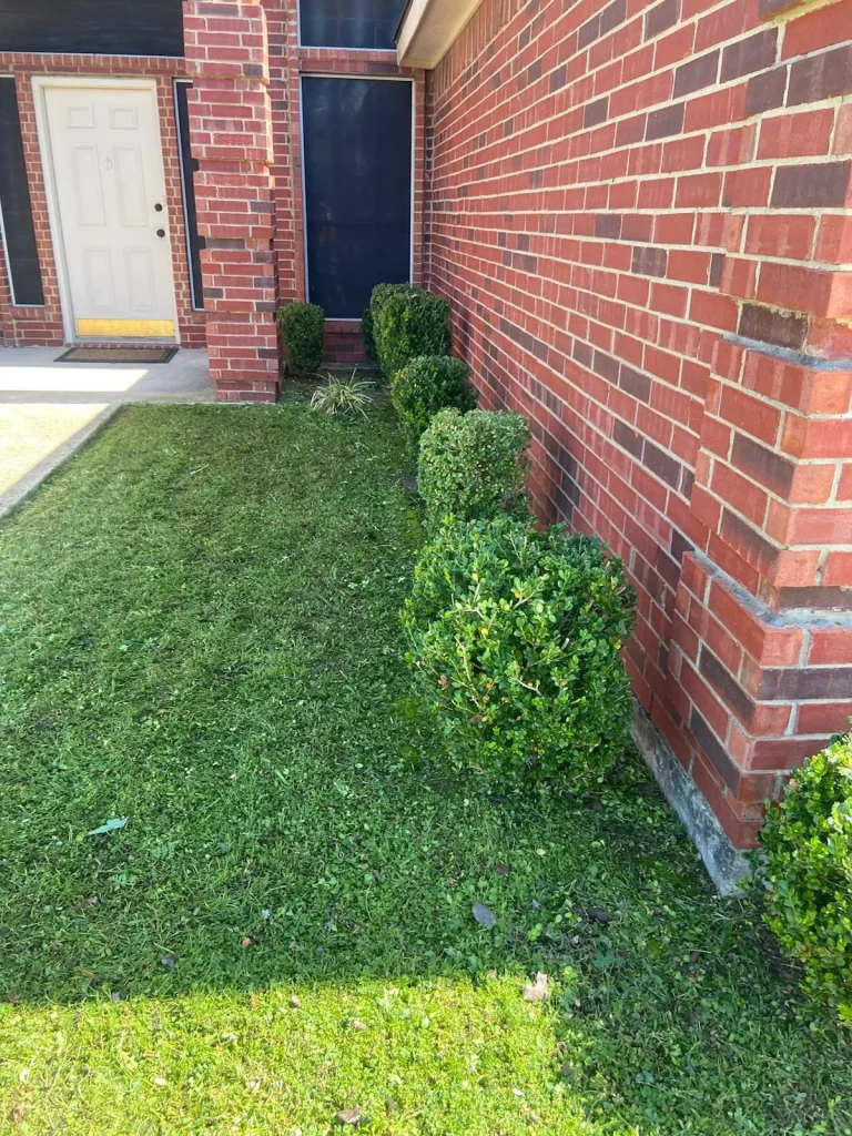 Residential landscaping