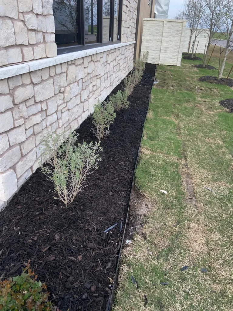 Shrub trimming